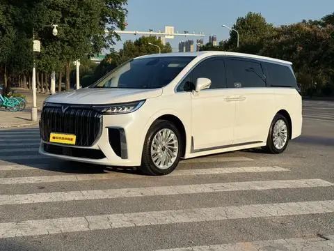 Voyah 梦想家 EV 2022