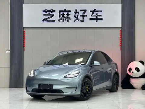 Tesla Model Y 2021 — фото 1