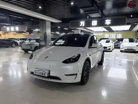 Tesla Model Y 2021 — фото 1