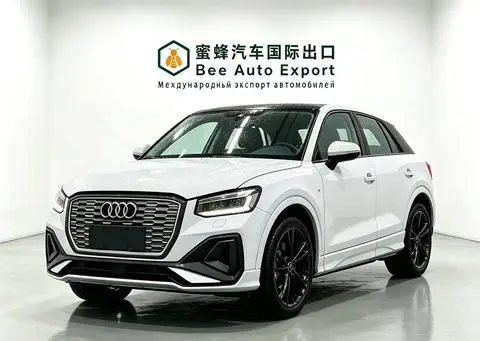 Audi Q2L e-tron 2022