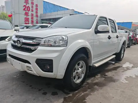 Great Wall 风骏5 2020