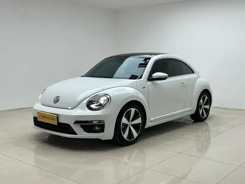 Volkswagen 甲壳虫 2014