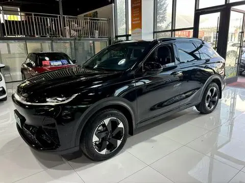 Haval 枭龙MAX 2025
