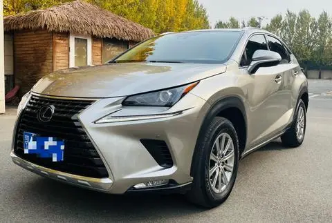 Lexus NX 2020