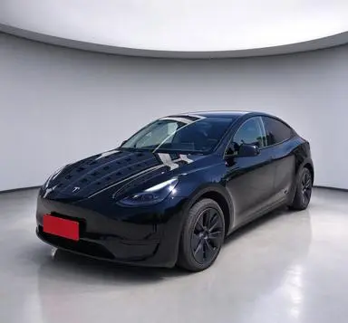 Tesla Model Y 2024 — фото 1