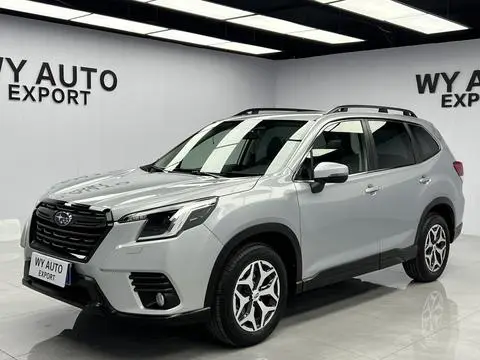 Subaru FORESTER森林人 2022