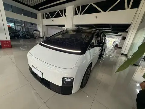Li MEGA 2025