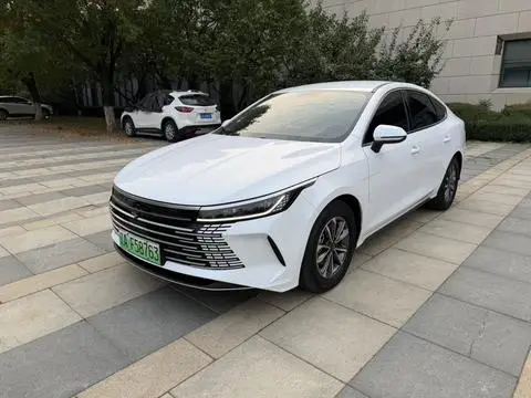 BYD Destroyer 05 2024