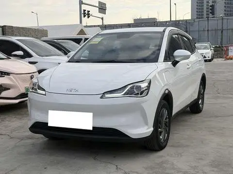 NETA V 2021