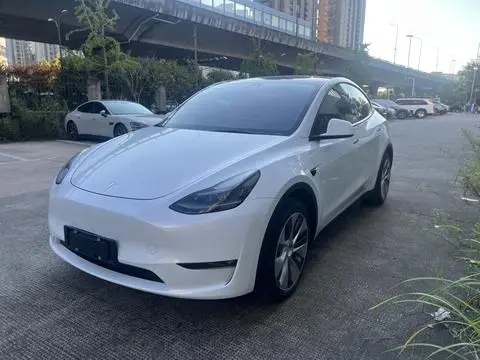 Tesla Model Y 2021 — фото 1