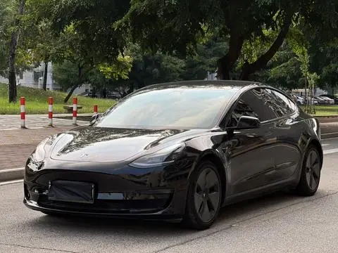 Tesla Model 3 2021 — фото 1