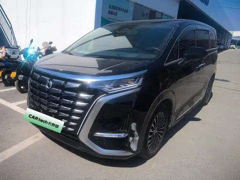 Denza D9 DM 2024