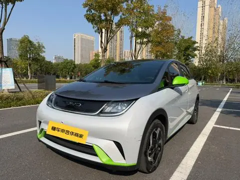 BYD Dolphin 2021