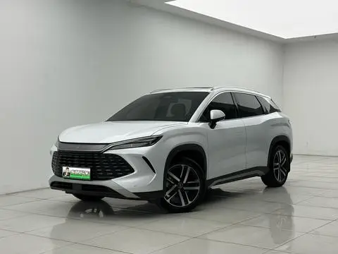 BYD Song L DM 2024