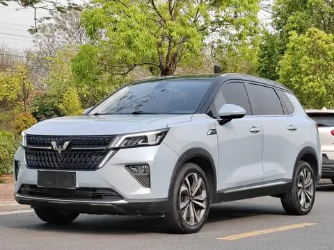 Wuling Xingchen 2021