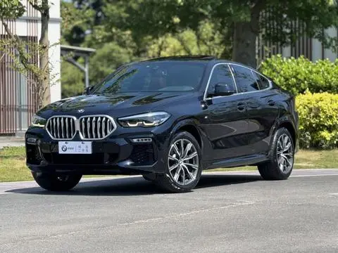 BMW X6 2021