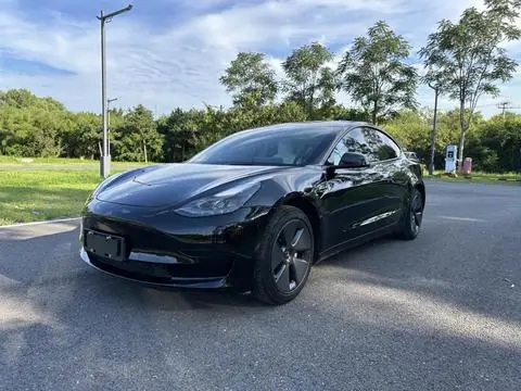 Tesla Model 3 2021 — фото 1