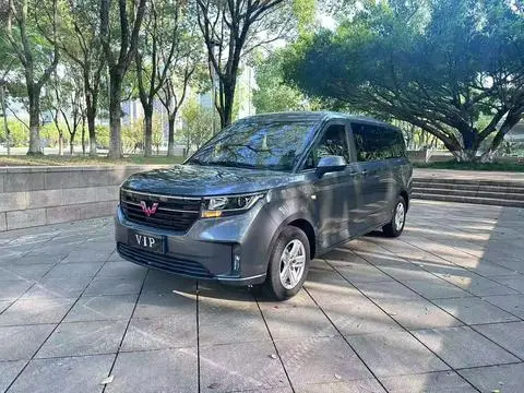 Wuling 征程 2021