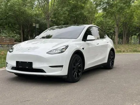 Tesla Model Y 2021 — фото 1