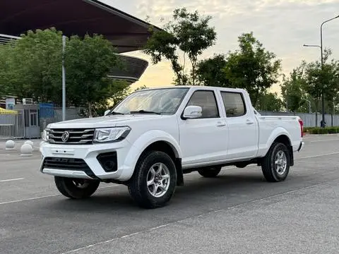 Dongfeng 锐骐 2019
