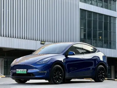 Tesla Model Y 2021 — фото 1