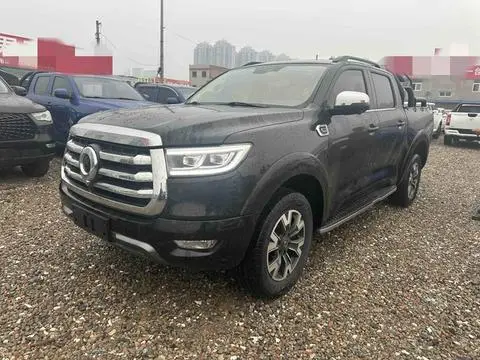 Great Wall Poer 2021