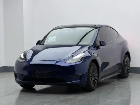 Tesla Model Y 2021 — фото 1