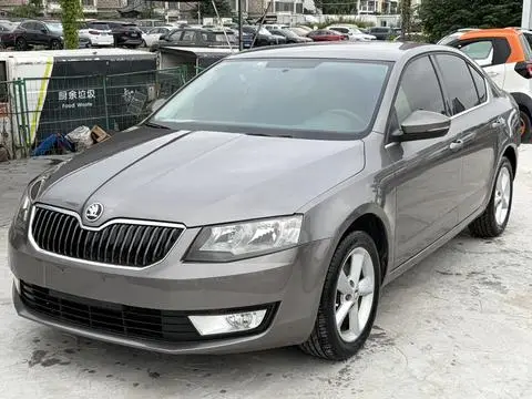 Skoda 明锐 2015 — фото 1