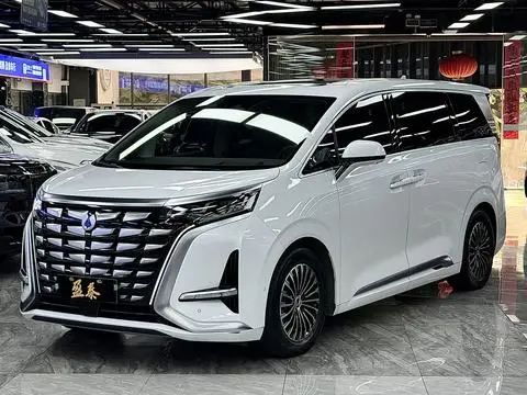 Denza D9 DM 2022