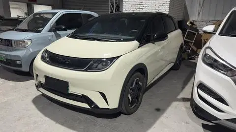 BYD Dolphin 2024