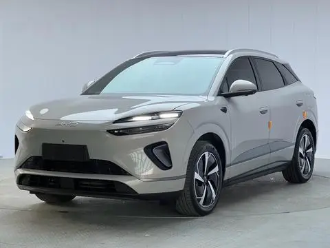 BYD 海狮06 DM 2025