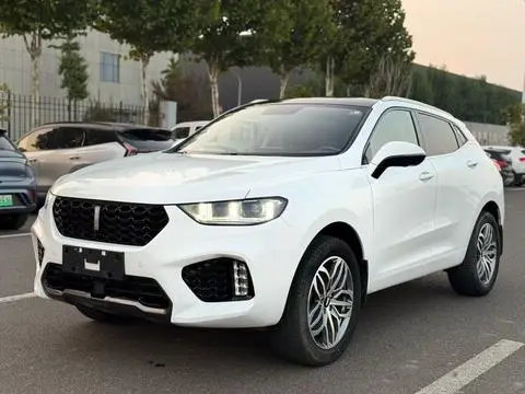 Wey VV5 2019