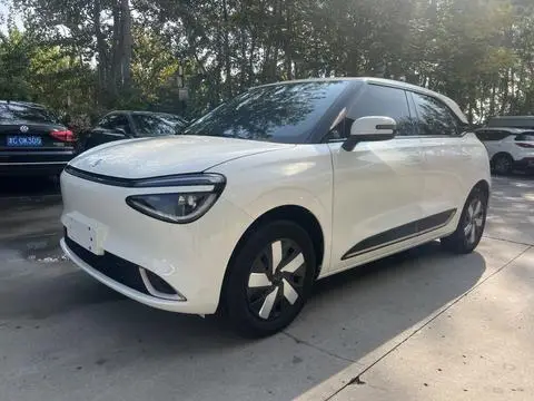 Dongfeng Nammi 01 2024