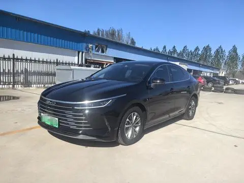 BYD Destroyer 05 2024