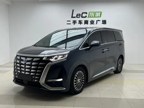 Denza D9 DM 2022