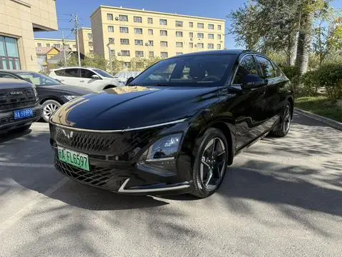 Wuling Xingguang 2025