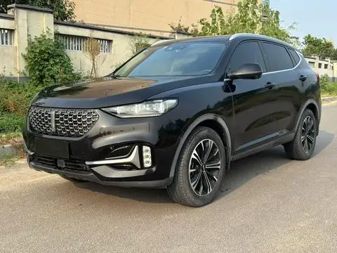 Wey VV6 2021