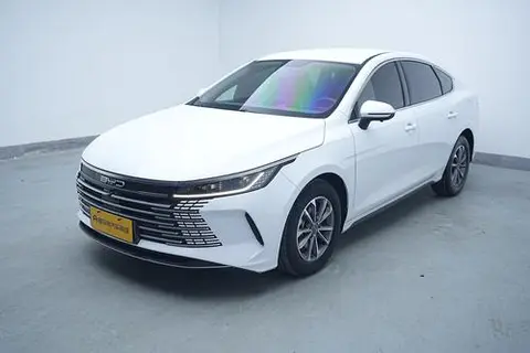 BYD Destroyer 05 2024