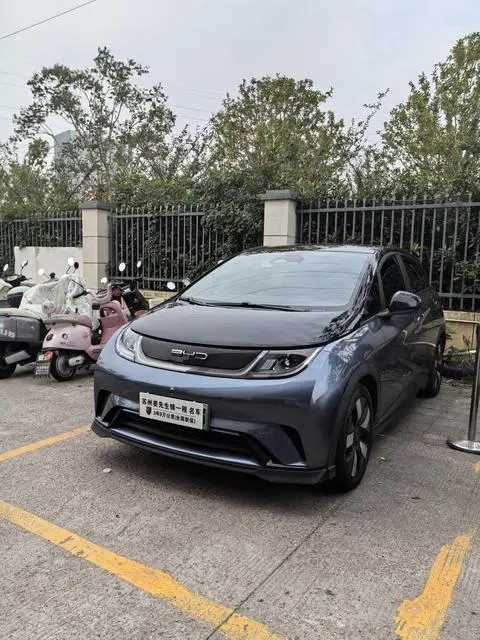 BYD Dolphin 2021