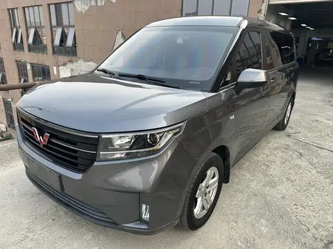 Wuling 征程 2021