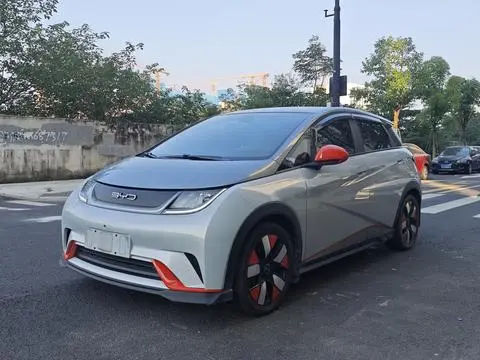 BYD Dolphin 2021