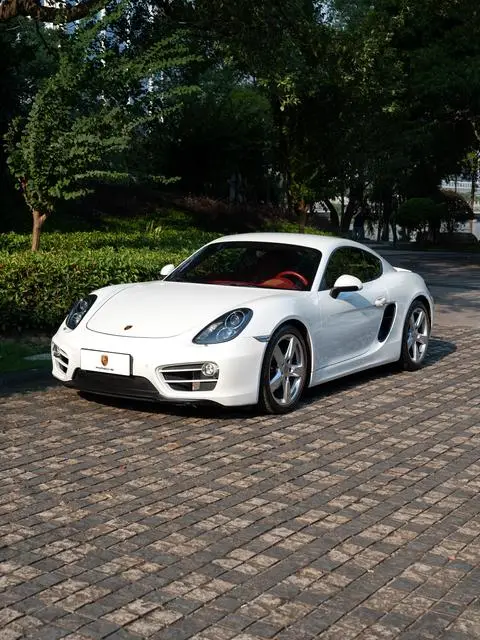 Porsche Cayman 2013