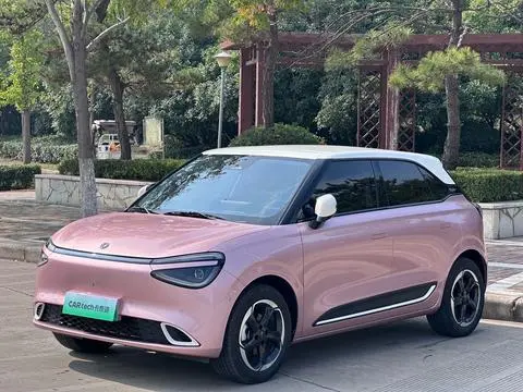 Dongfeng Nammi 01 2026