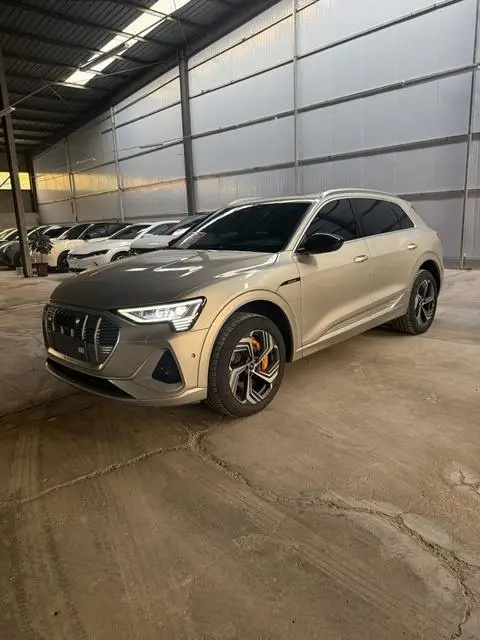 Audi e-tron 2021