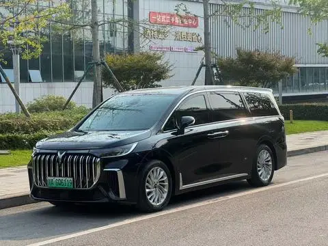 Voyah 梦想家 PHEV 2024