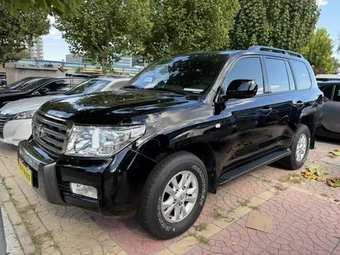 Toyota 兰德酷路泽 2010