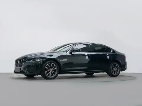 Jaguar XFL 2023