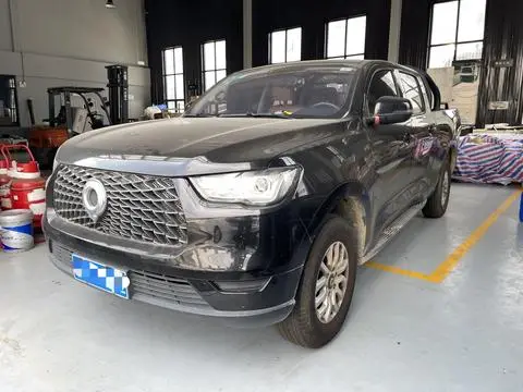 Great Wall Poer 2020