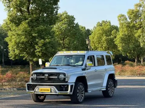 TANK 赛博坦克300 2021