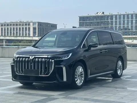 Voyah 梦想家 PHEV 2024